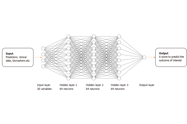 Image of a Deep Neural Network (DNN) architecture.